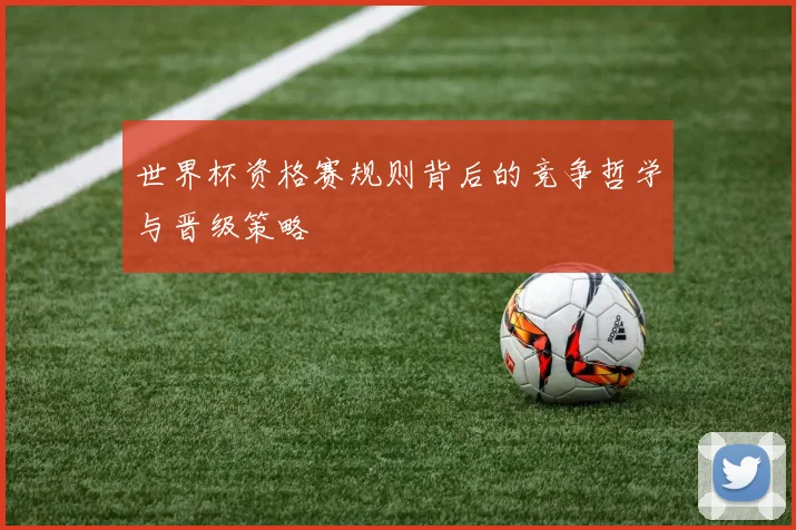 世界杯资格赛规则背后的竞争哲学与晋级策略