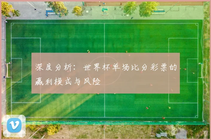 深度分析：世界杯单场比分彩票的赢利模式与风险